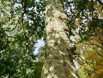 User post image