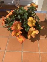 User post image