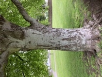 User post image