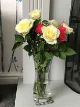 User post image