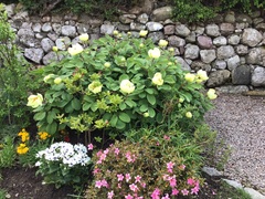 User post image