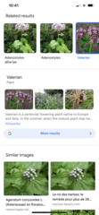 User post image