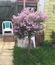 User post image