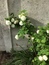 User post image