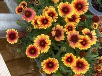 User post image