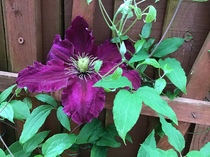 User post image