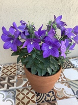 User post image