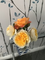 User post image