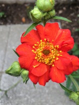 User post image