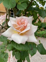 User post image