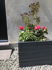 User post image