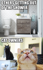 User post image