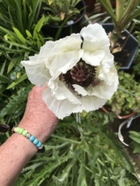 User post image