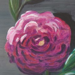 User post image