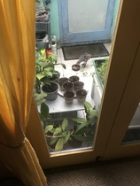 User post image