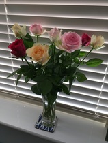 User post image