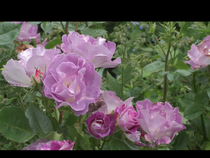 User post image