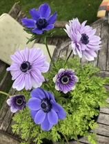 User post image