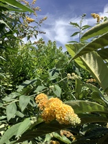 User post image