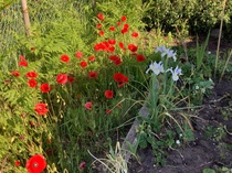 User post image
