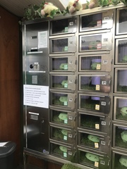 User post image