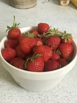 User post image