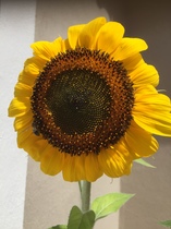 User post image