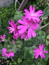 User post image