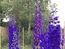 User post image