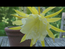 User post image