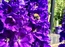 User post image