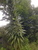 User post image