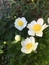 User post image