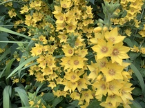 User post image