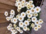 User post image