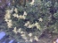 User post image