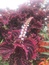 User post image
