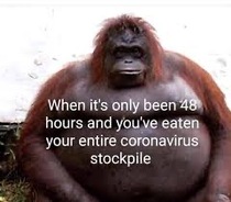 User post image