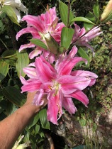 User post image