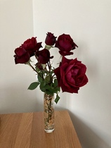 User post image