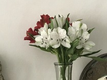User post image