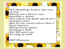 User post image