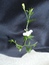 User post image