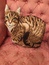 User post image