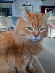 User post image