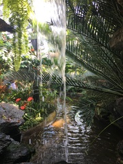 User post image