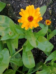 User post image