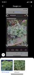 User post image