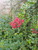 User post image