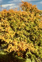 User post image